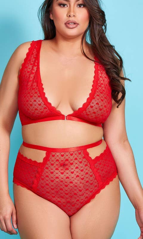 Dalia Hearts and Ruffles Mesh Babydoll and Hipster Set